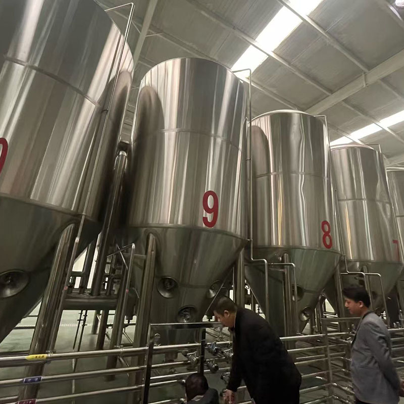 龙沙自酿啤酒设备